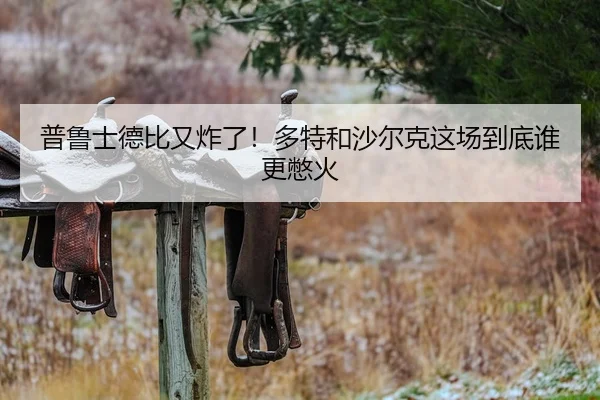 普鲁士德比又炸了！多特和沙尔克这场到底谁更憋火