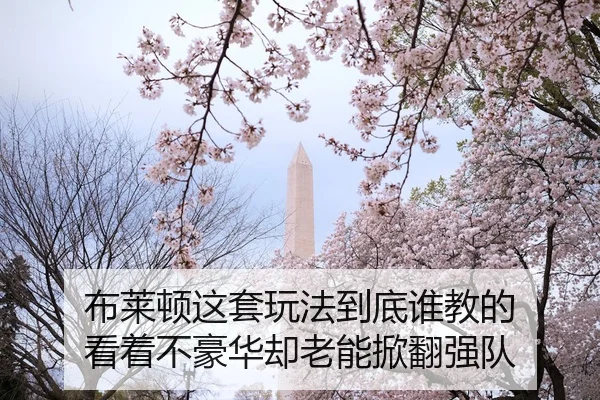 bu-lai-dun-zhe-tao-wan-fa-dao-di-shui-jiao-de-kan-zhe-bu-hao-hua-que-lao-neng-xian-fan-qiang-dui-2-847.jpg