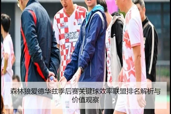 森林狼爱德华兹季后赛关键球效率联盟排名解析与价值观察