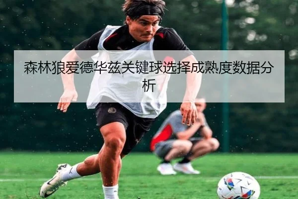 森林狼爱德华兹关键球选择成熟度数据分析