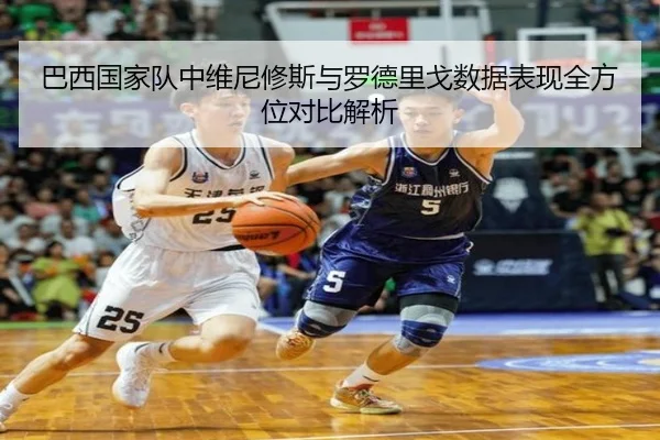 巴西国家队中维尼修斯与罗德里戈数据表现全方位对比解析
