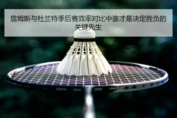 詹姆斯与杜兰特季后赛效率对比中谁才是决定胜负的关键先生