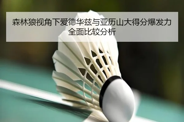 森林狼视角下爱德华兹与亚历山大得分爆发力全面比较分析