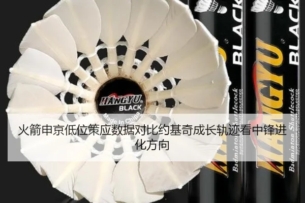 火箭申京低位策应数据对比约基奇成长轨迹看中锋进化方向