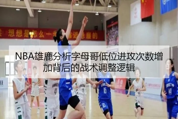NBA雄鹿分析字母哥低位进攻次数增加背后的战术调整逻辑
